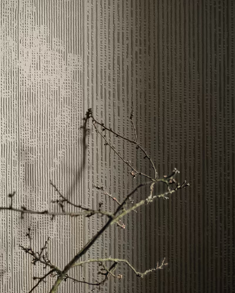 Glamora texture
